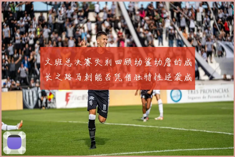文班总决赛失利回顾幼鲨幼詹的成长之路马刺能否凭借独特性逆袭成功