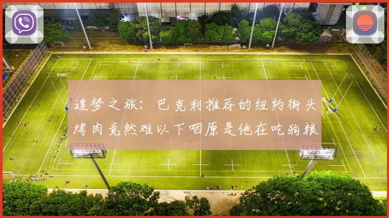 追梦之旅：巴克利推荐的纽约街头烤肉竟然难以下咽原是他在吃狗粮